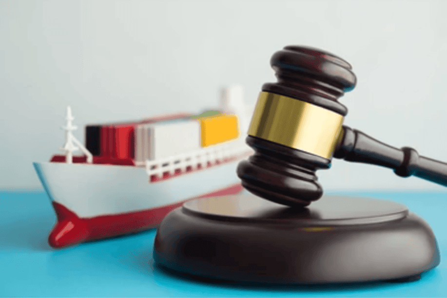 Country Expert Report